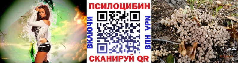Купить  Новоржев  Псилоцибиновые грибы Cubensis 