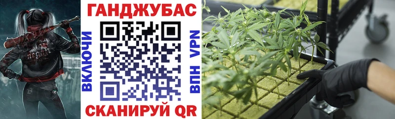 Купить где  Новоржев  Марихуана индика 